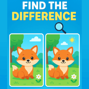 Find The Difference