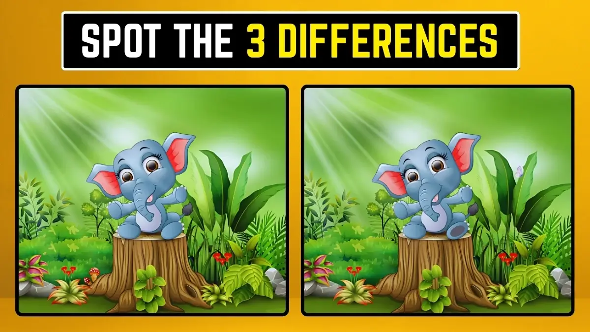 Find The Difference Game Screen Shot